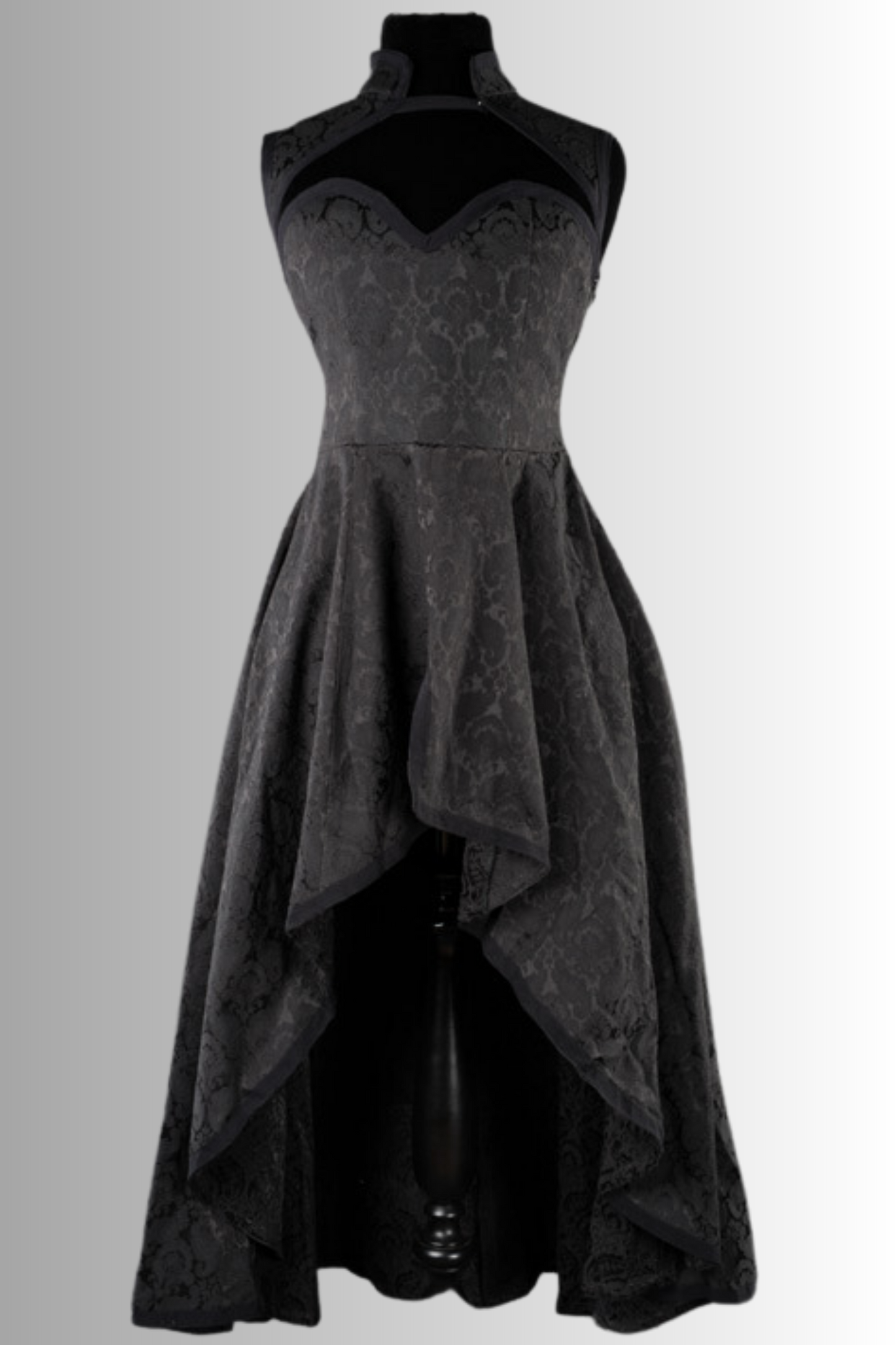 Enigma Elegance Brocade Choker Dress